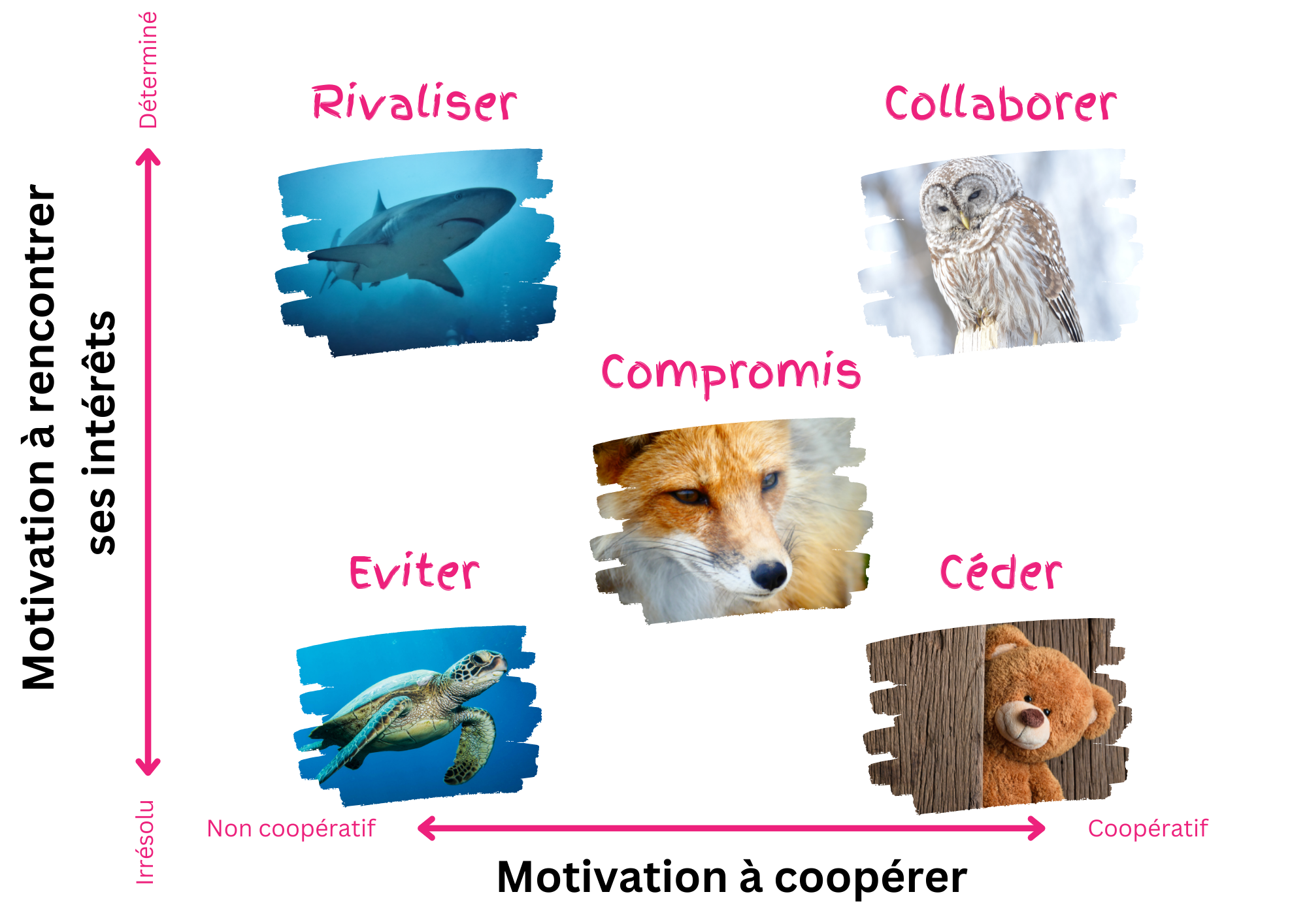 modèle THOMAS KILMANN tendance animaux