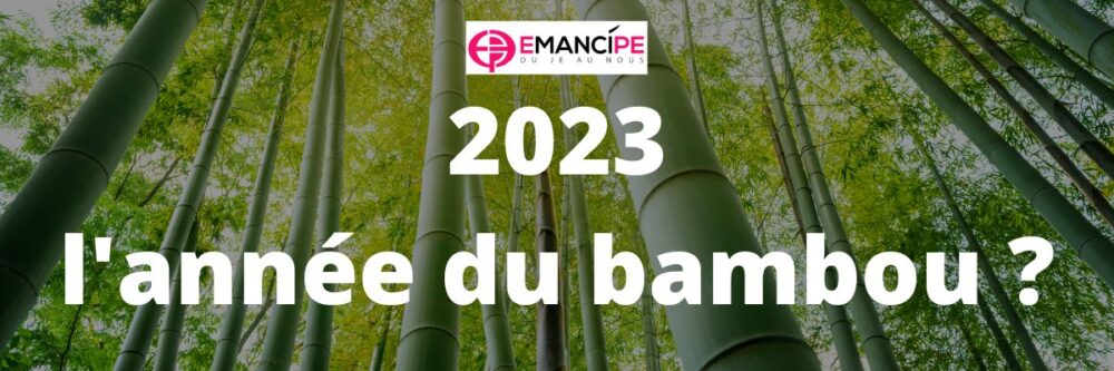 bambou metaphore emancipe